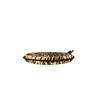Round Animal Print Velvet Seat Pads | Circular Animal Print Chair Pads