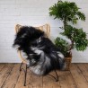 Large Icelandic Sheepskins | Dark Grey Sheepskin Rugs