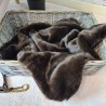 Luxus-Hundedecke aus Kunstpelz | Bison-Kunstpelz-Hundedecke | Braune Pelzdecke