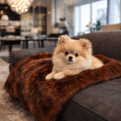 Tamarin Fur Pet Blanket | Brown Faux Fur Dog & Cat Blankets |