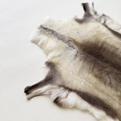 Tapis en peau de renne nordique grand format | Grande peau de renne naturelle