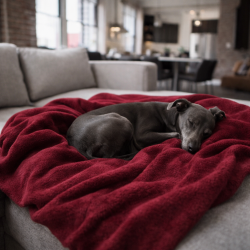 Wine Fleece Pet Blanket | Soft Fleece Pet Blankets | Fleece Dog Blanket