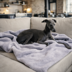 Light Grey Fleece Dog Blanket | Fleece Pet Blanket | Fleece Dog Blanket