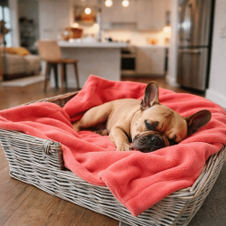 Couverture polaire corail pour chien | Couverture polaire rose pour animaux de compagnie | Couverture polaire pour chien