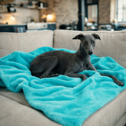 Jadegrüne Fleece-Haustierdecke | Flauschige Hundedecken | Grüne Hundedecke