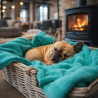 Jadegrüne Fleece-Haustierdecke | Flauschige Hundedecken | Grüne Hundedecke
