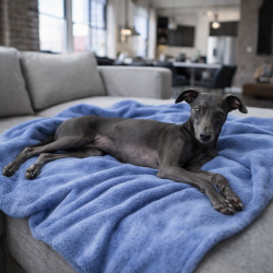 Sky Blue Fleece Pet Blanket | Fleecy Pet Blankets | Blue Dog Blankets