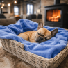 Sky Blue Fleece Pet Blanket | Fleecy Pet Blankets | Blue Dog Blankets