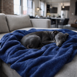 Petrol Blue Fleece Dog Blanket | Fleecy Dog Blanket | Blue Pet Blanket