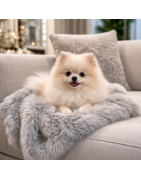 couvertures pour animaux de compagnie